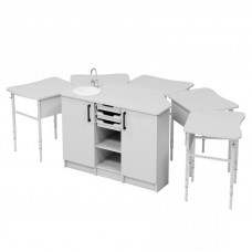 Комплект мебели за химия: шкаф с мивка и 5 маси
